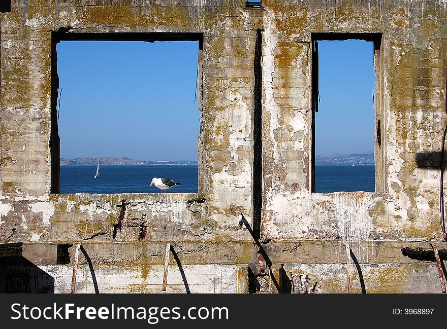 An old building outline with a bird standing in a window frame with blue ocean and sky in background. An old building outline with a bird standing in a window frame with blue ocean and sky in background.