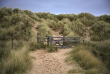 Beach Path Royalty Free Stock Photos Beach Path Royalty Free Stock Photos