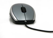 Computer Mouse. Stock Image