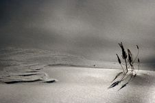 Snow Drift Royalty Free Stock Photography Snow Drift Royalty Free Stock Photography