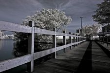 Infrared Photo – Tree, Wooden Bridge And River Stock Photo Infrared Photo – Tree, Wooden Bridge And River Stock Photo