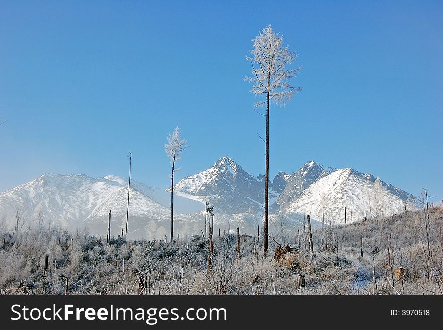 View on peaks of High Tatras in winter. View on peaks of High Tatras in winter