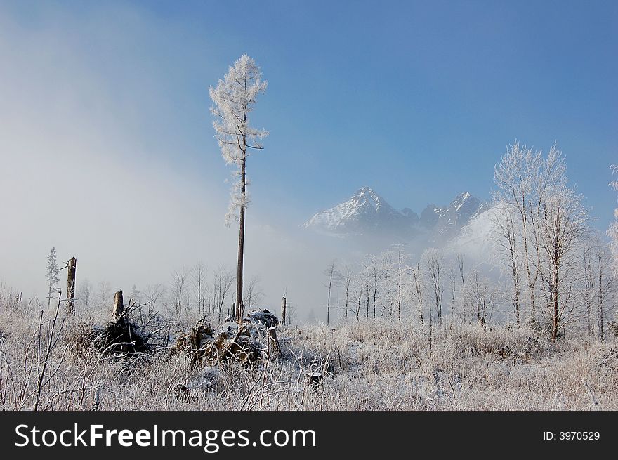 View on peaks of Vysoke Tatry mountains in a foggy winter day