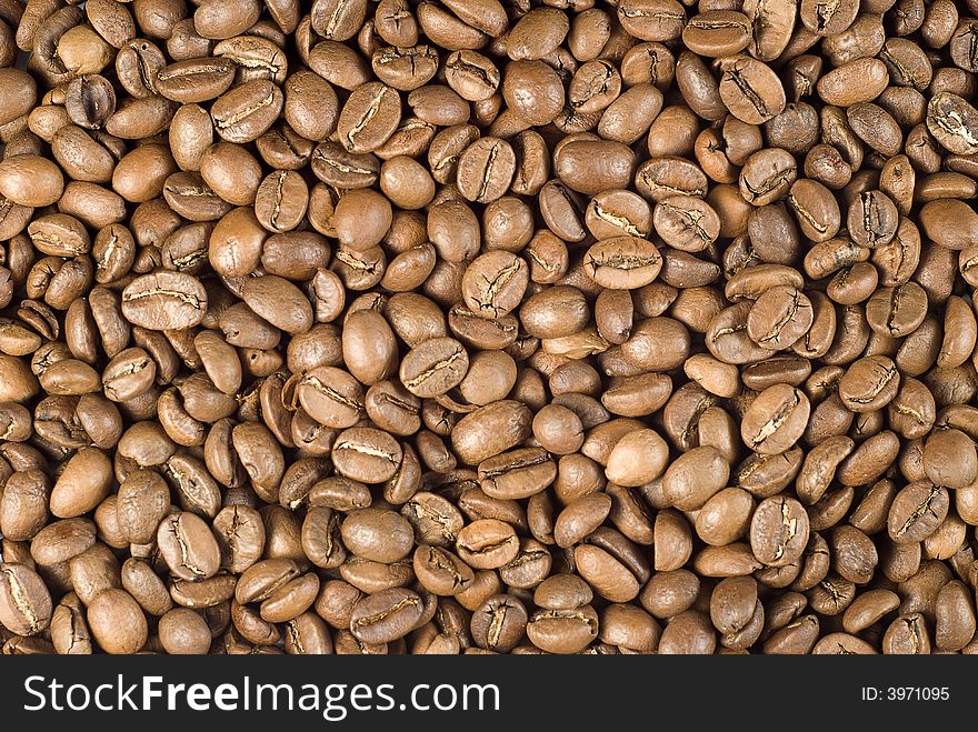 Coffee Beans