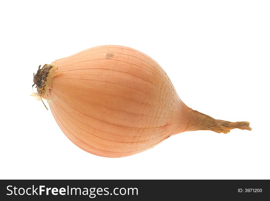 Raw onion isolated on white. Raw onion isolated on white