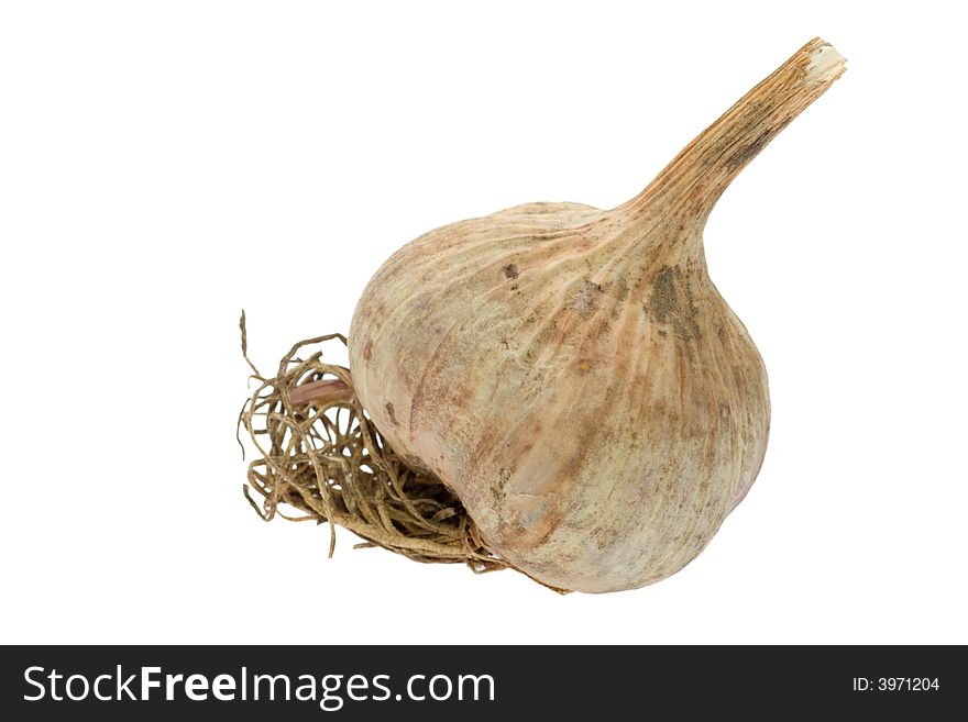 Garlic isolated on white background. Garlic isolated on white background