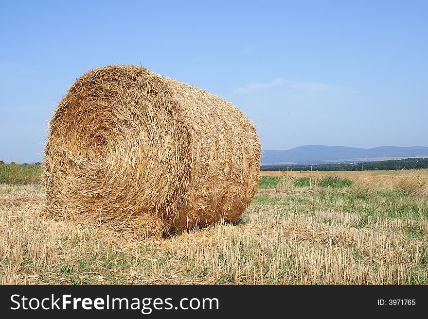 He is a left bale on the field after harvest. He is a left bale on the field after harvest.