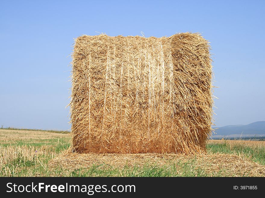 He is a left bale on the field after harvest. He is a left bale on the field after harvest.