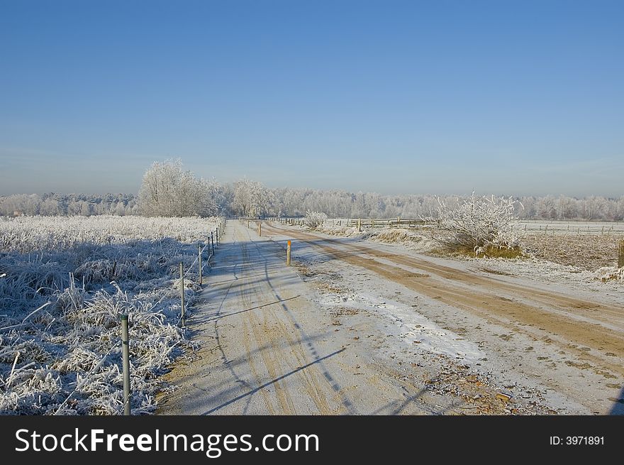 Snowy winterland with blue sky. Snowy winterland with blue sky