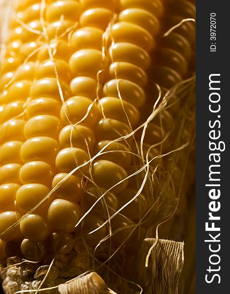 Foodstuff: macro picture of freshly golden corn