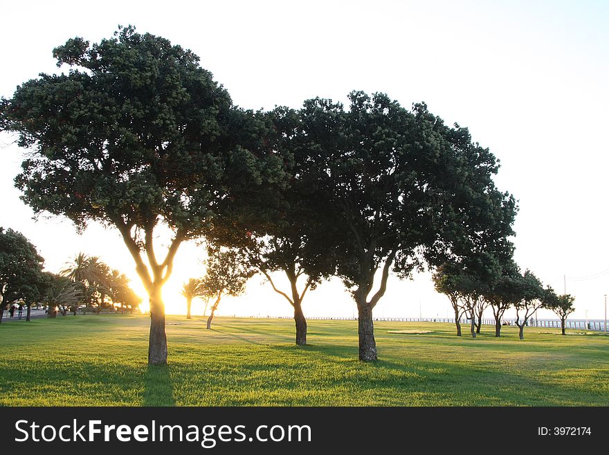 Landscape photo of a park at sunset