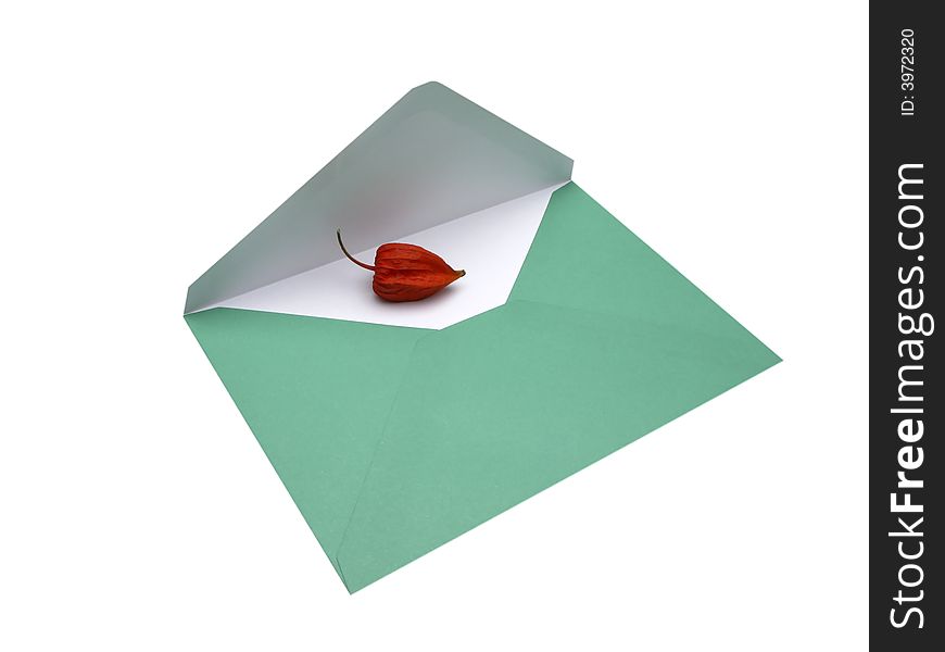 Envelope and physalis