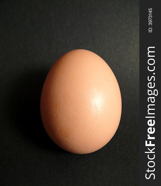 Egg on a grey background