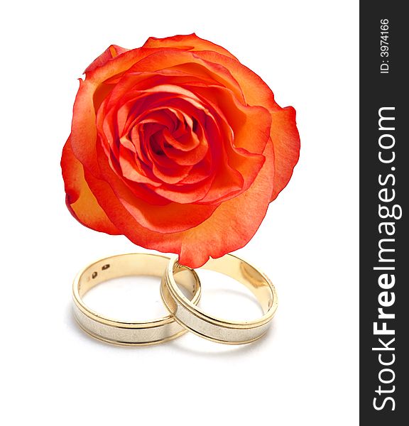 Wedding rings and a rose