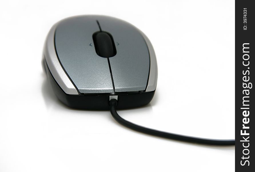 Computer mouse.