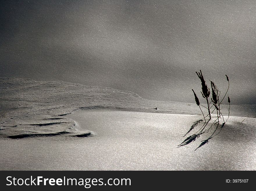 Serene scene of a snow drift