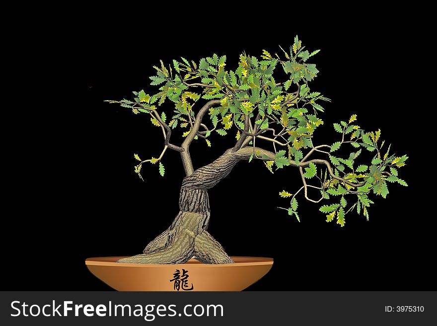 Bonsai isolated on black background. 3-D