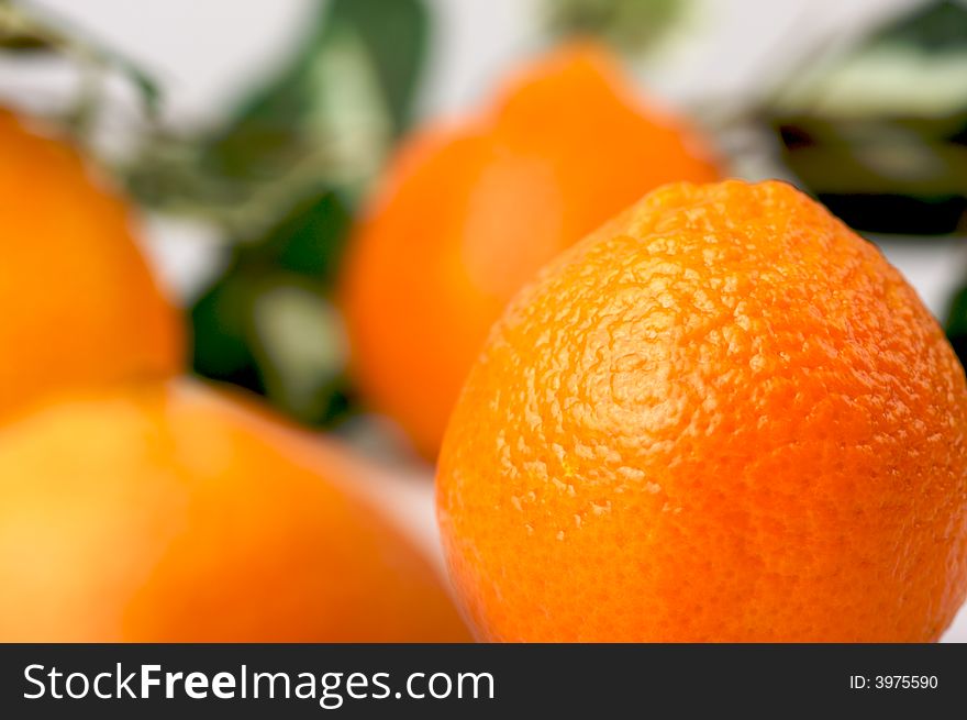 Clementine Oranges on a White and Green Background