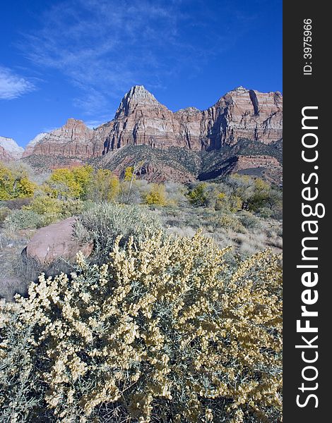 Landscape in Zion National Park, Utah. Landscape in Zion National Park, Utah.