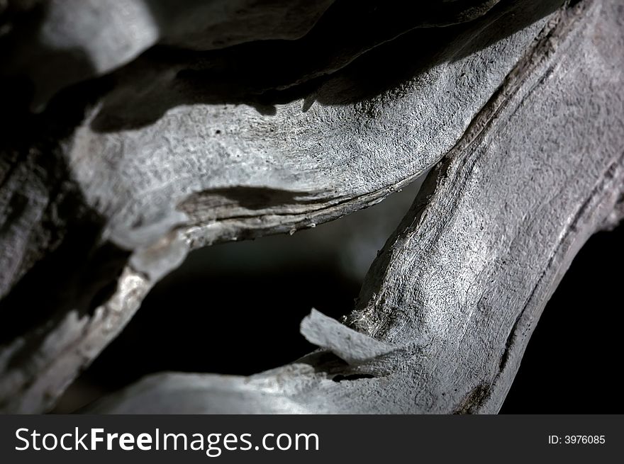 Infrared Photo â€“ Tree, Dried Wood And Rock