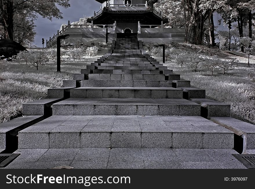 Infrared Photo â€“ Tree, Stair Case And Walk Path