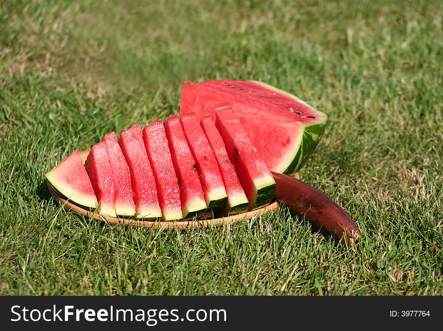 Water-melon on a grass - a fine breakfast in a sunny day