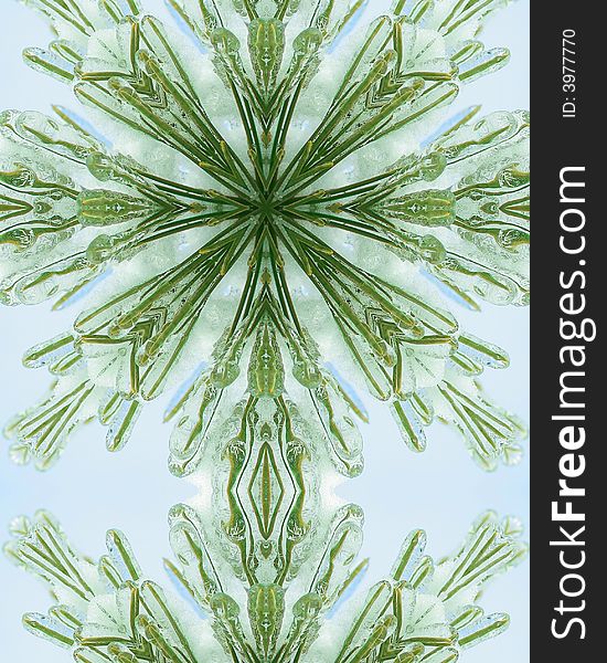 Kaleidoscope cross:  layer of ice on pine needles. Kaleidoscope cross:  layer of ice on pine needles