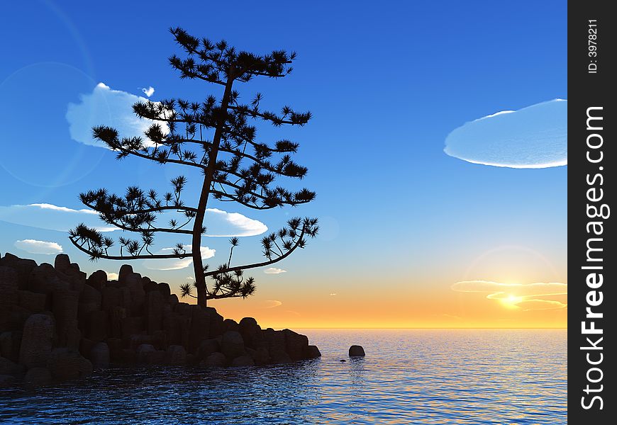 Pine tree at sea coast - 3d illustration.