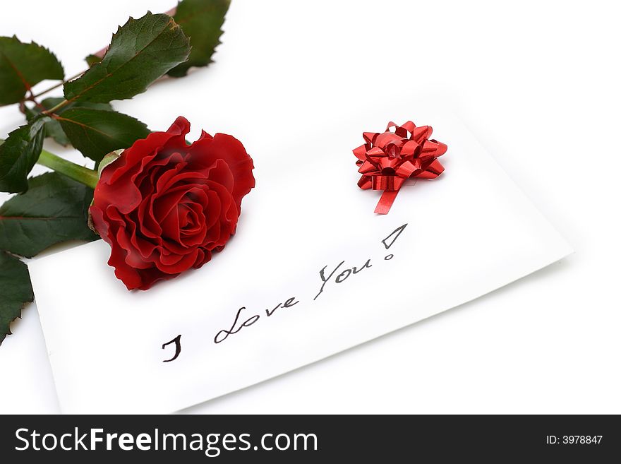 Beautiful red rose on white background