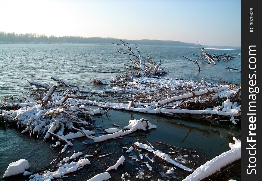 Beautiful winter river landscape,dead trees in water