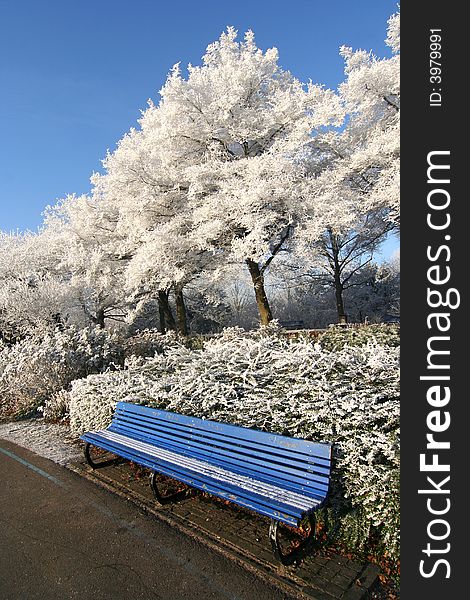 Bench in the Park in Winter