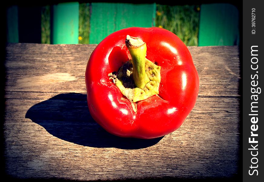 Red pepper bell