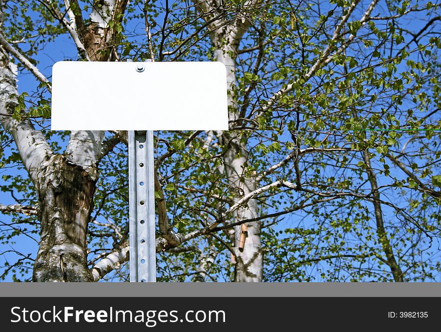 Blank sign with copy space in spring forest. Blank sign with copy space in spring forest.