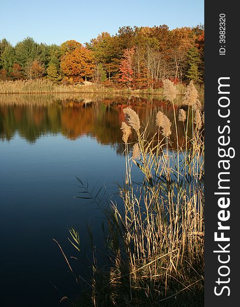 Fall reflection in a clam blue lake. Fall reflection in a clam blue lake