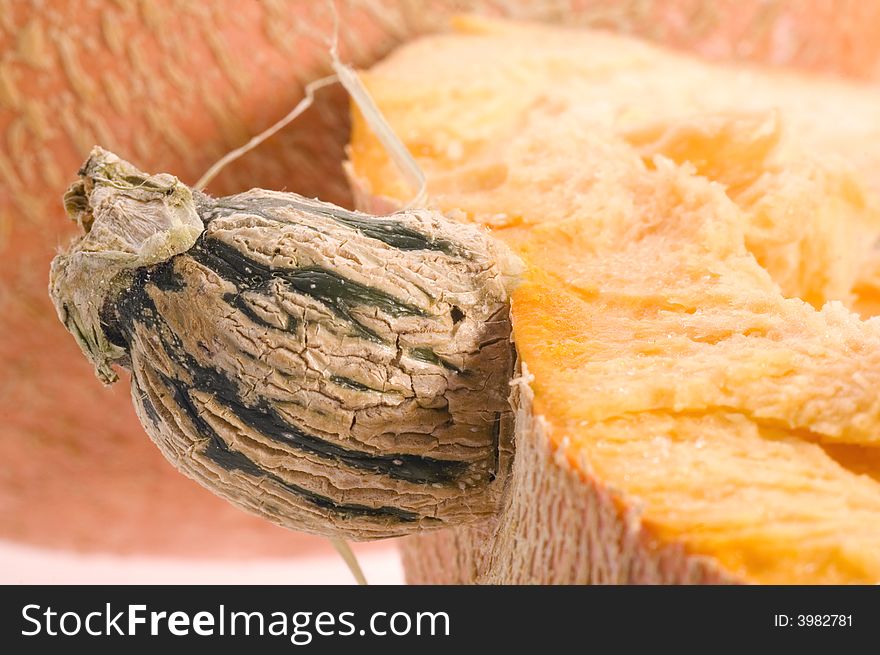 Pumpkin half. macro golden autumn