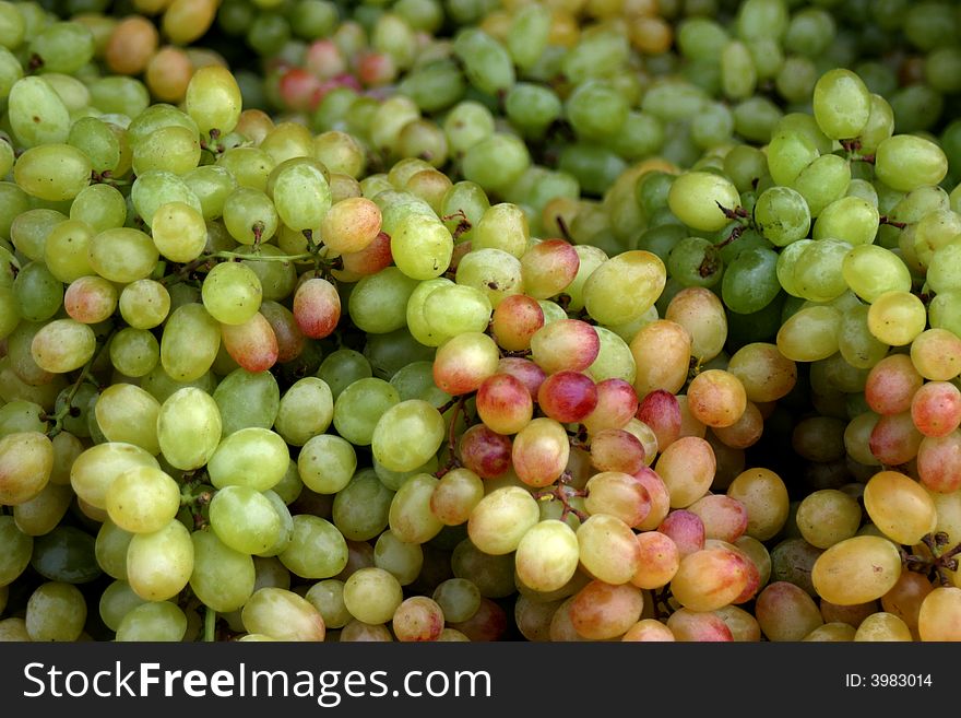 Bunch of fresh green grapes