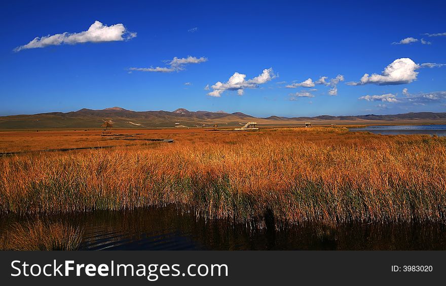 Flower lake located in Si Chuan Province of China. I take this photo in autumn.