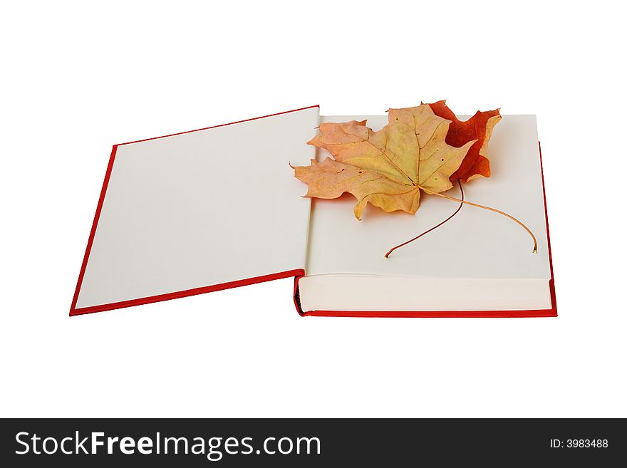 Autumnal leaves on the page of opened book. Autumnal leaves on the page of opened book