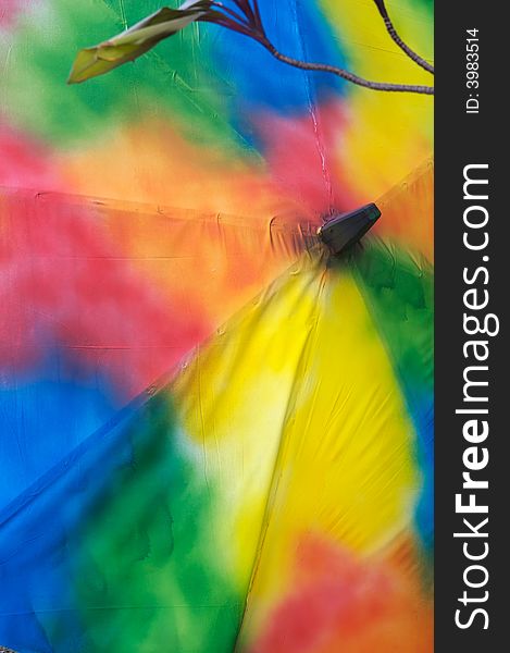 Colored umbrella with leaf on branch, 
Seychelles, Mahe island, one Victoria's street