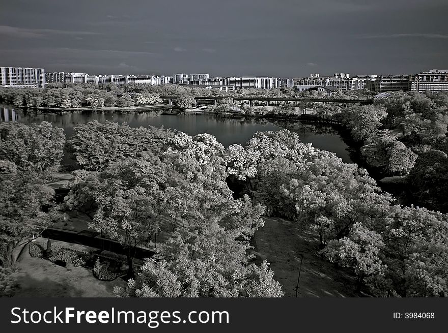 Infrared Photo â€“ Tree, Landscapes And Apartment