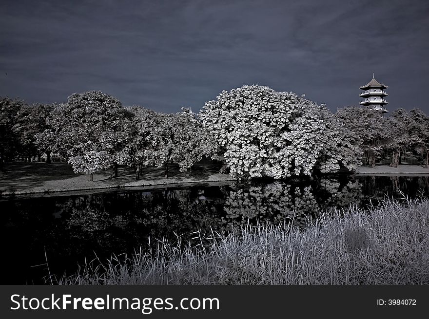 Infrared photo – tree, pagoda and lake in the parks