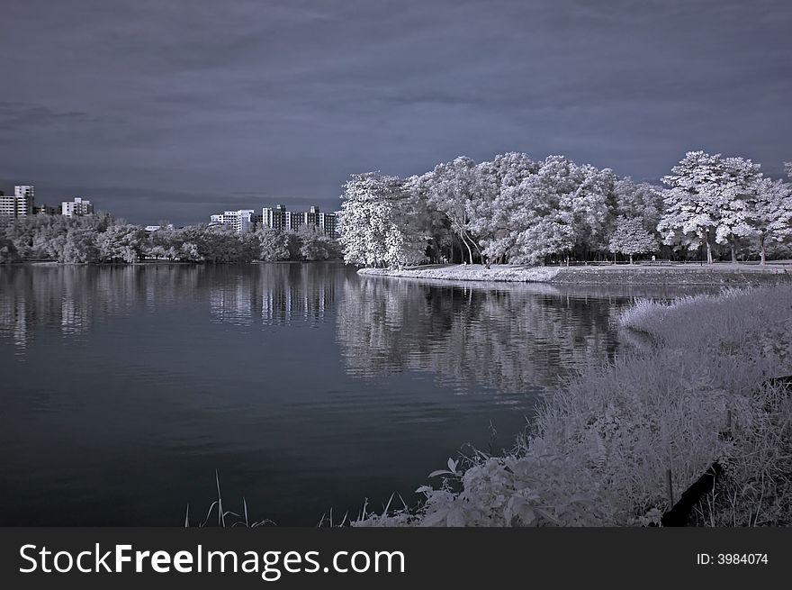 Infrared photo – tree, landscapes and lake in the parks