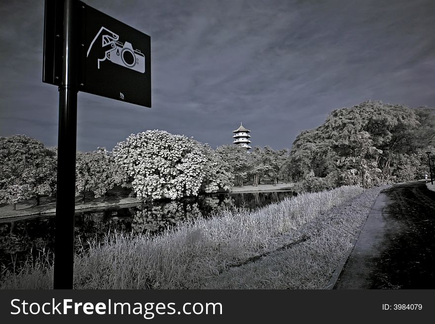 Infrared Photo â€“ Tree, Pagoda And Sign Board