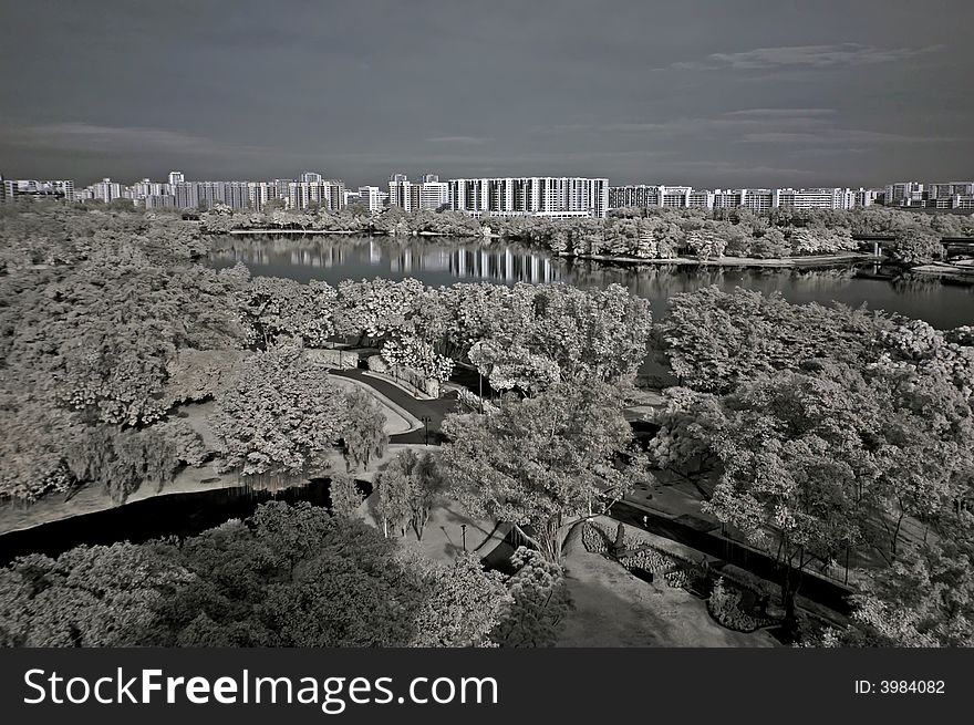 Infrared photo – tree, landscapes and modern building in the parks. Infrared photo – tree, landscapes and modern building in the parks