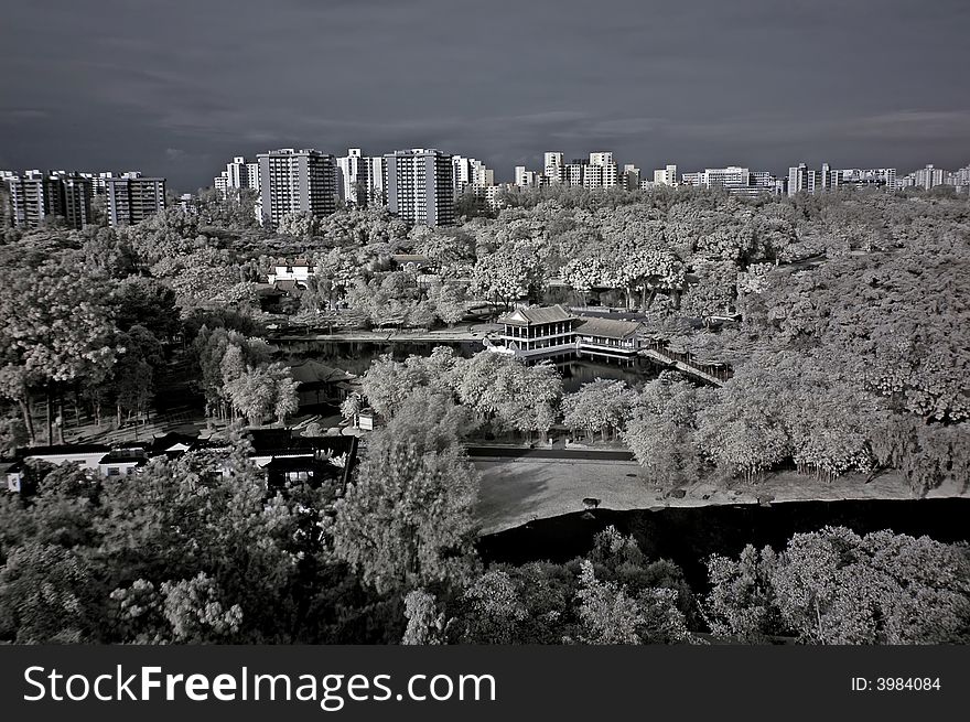 Infrared photo â€“ tree, landscapes and modern building in the parks. Infrared photo â€“ tree, landscapes and modern building in the parks