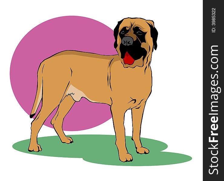 Coloring book style mastiff dog illustration