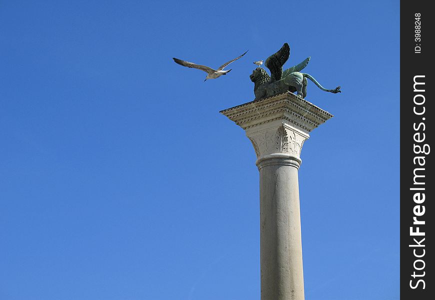 A Venetian winged lyon wants to fly as following a seagull flight on the blue venetian sky