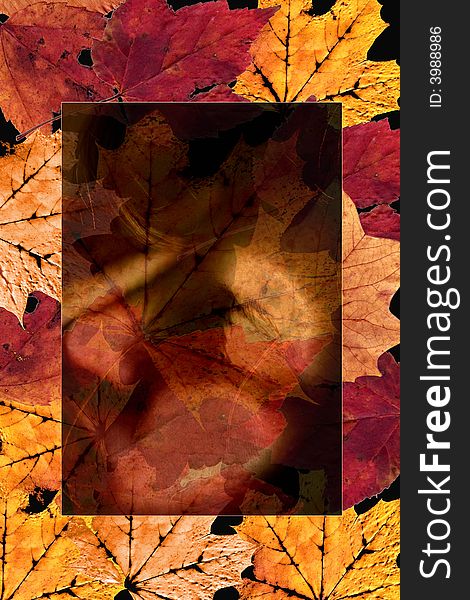 Autumn Leaves Design