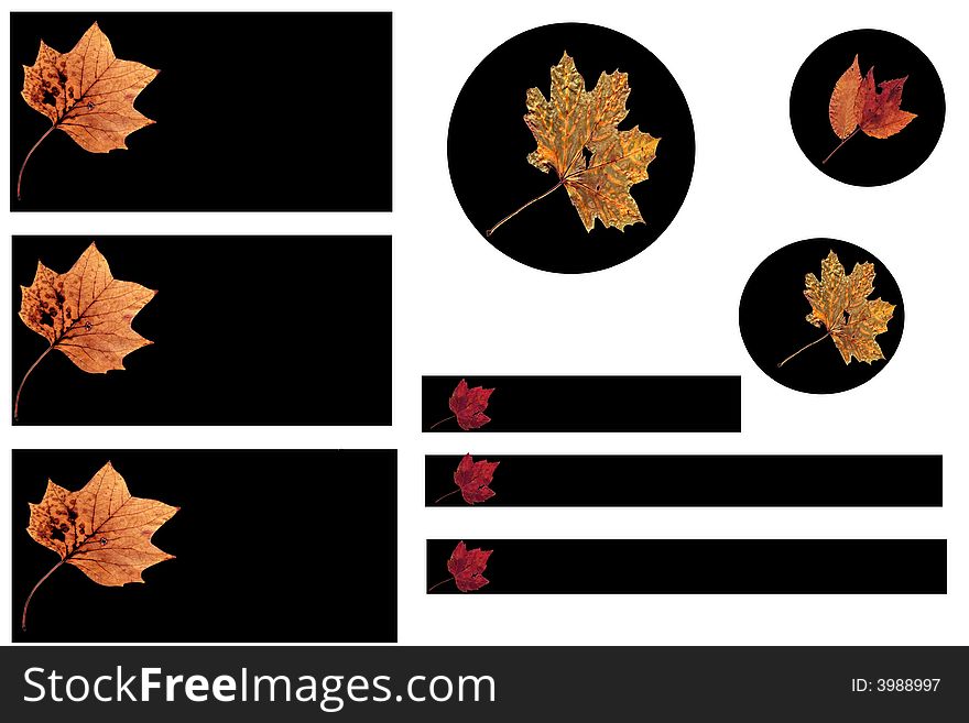 Autumn Leaves Buttons