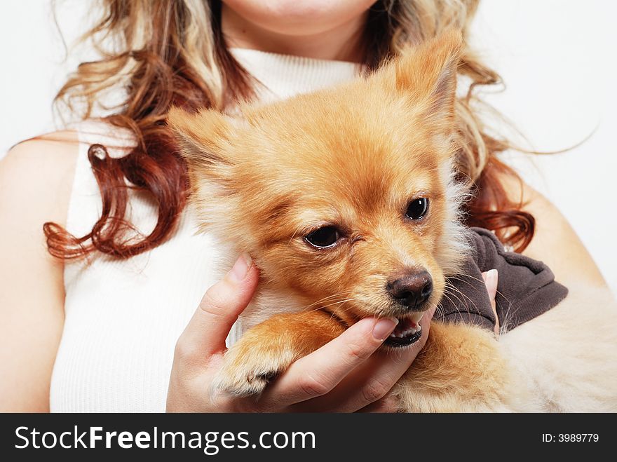 A girl is playing with her cute pet. A girl is playing with her cute pet